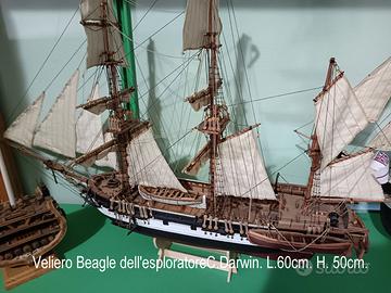 veliero Beagle Darwin