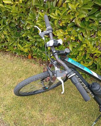 monte bike
