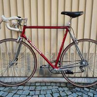 Bici vintage Pinarello Treviso, 56, per Eroica