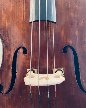 Contrabbasso di Liuteria tedesca del 1800