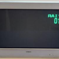 TV SONY WEGA TRINITRON 100hz 16:9