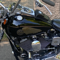 Serbatoio originale Harley 3,5 galloni Softail evo