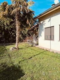 Cervignano del Fr. Tricamere biservizi euro 730