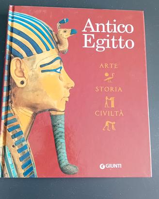 libro Antico Egitto. arte, storia e civiltà. ediz.
