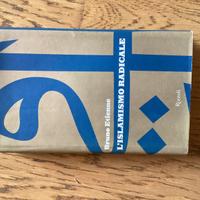 Libro “l’islamismo radicale”