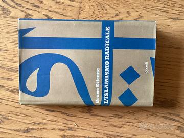 Libro “l’islamismo radicale”