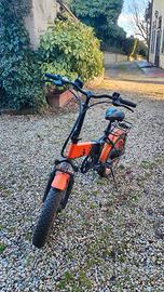 Ebike