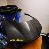 Cupolino carbonio RGV 250 suzuki