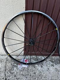 Ruote bicicletta ksyrium