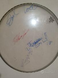 pelle di tamburo autografata dai SEX PISTOLS