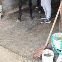 due tappeti in gomma