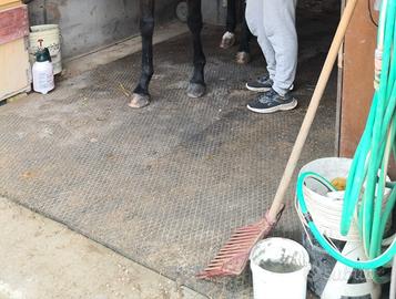 due tappeti in gomma