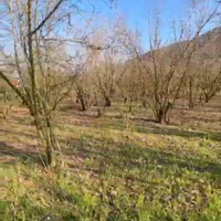 Terreno agricolo