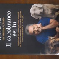 Il capobranco sei tu