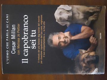 Il capobranco sei tu