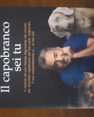 Il capobranco sei tu