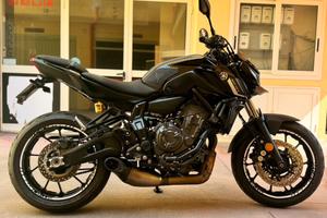MT 07 2024 pure edition