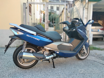 Scooter kimco 250