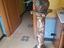 Immagine 2
