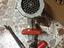 Immagine 2