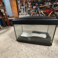 acquario 50 litri