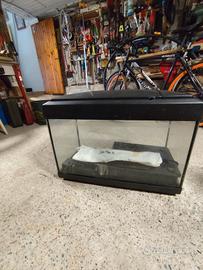 acquario 50 litri