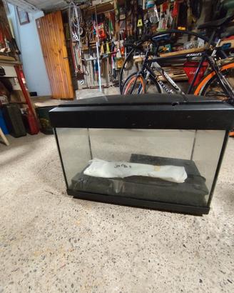 acquario 50 litri