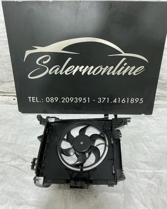 Ventola radiatori Smart 451