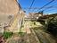 Immagine 29