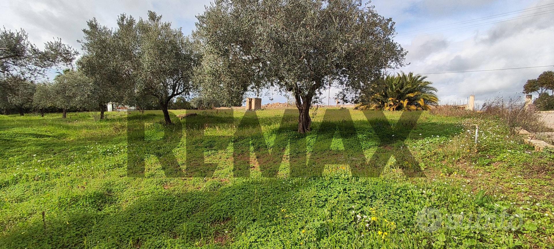 Terreno - Caltagirone - Vista 4