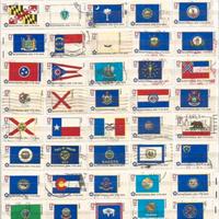 USA 1976 Bicentenario Bandiere dei 50 stati usati