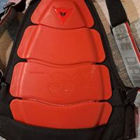 Paraschiena Dainese bambino S e M