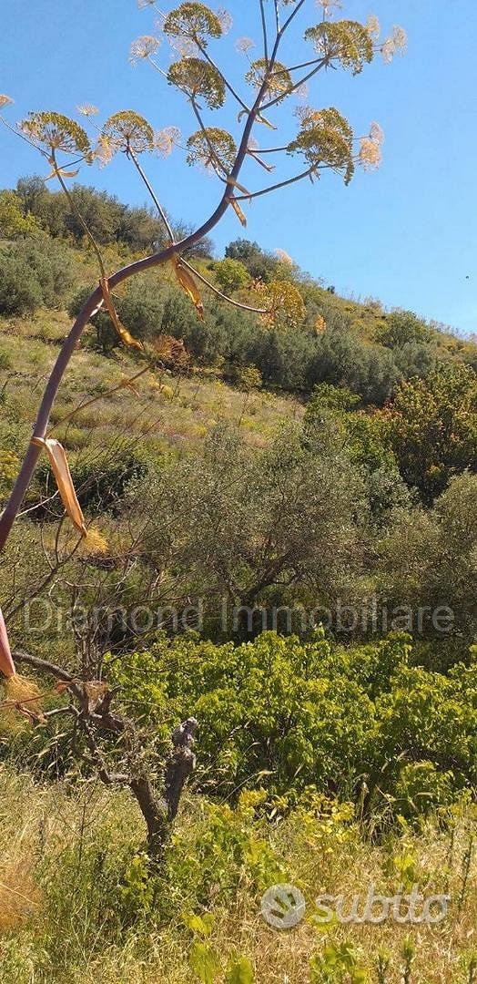 Terreno agricolo a Linguaglossa - Altro