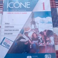 Icone 1