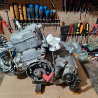 TM K7 125 motore KART con 40 Keihin 