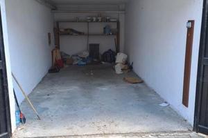 RGE 77/2025 Trib Pavia