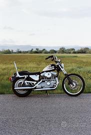 Harley Davidson Sportster 883 Custom