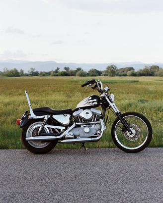 Harley Davidson Sportster 883 Custom