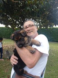 Operatore aree montane e guida escursionistica