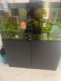 Acquario ciano 280L