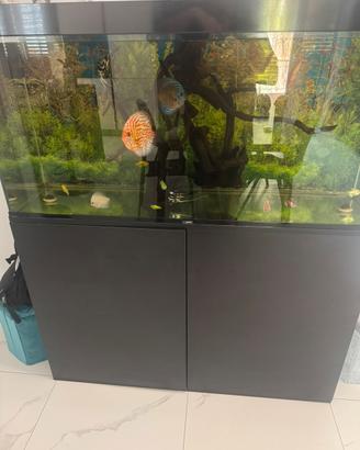 Acquario ciano 280L