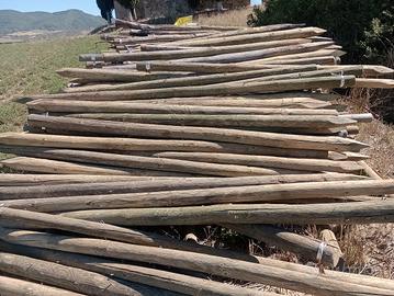Pali da vigneto usati come nuovi trattati, 