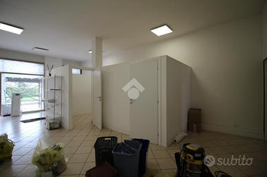 MULTILOCALE A MARMIROLO