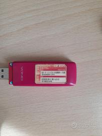 Chiavetta internet key