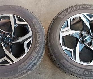 Kia Sportage cerchi con pneumatici estivi