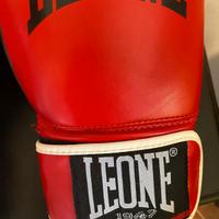 Set da boxer leone originali 
