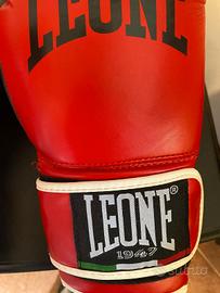 Set da boxer leone originali 