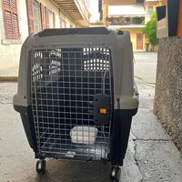 Transportini per animali Skudo 5
