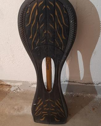 Skateboard 2 ruote