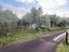 Immagine 15